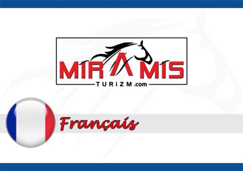 Fransızca e-Katalog